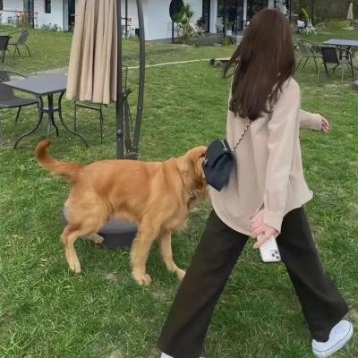 生死恨